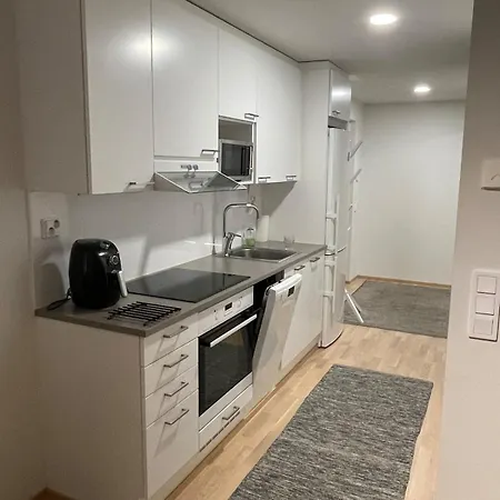 40m2 Turun Logomolla *
